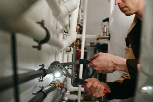 Best Plumbing Inspection Services  in Morrisonvle, IL